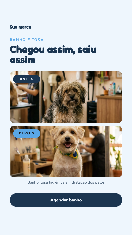 Modelo Antes e depois do banho e tosa